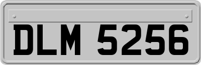 DLM5256