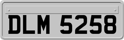 DLM5258