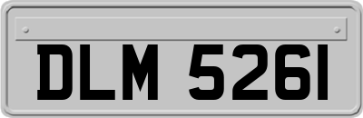 DLM5261