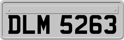 DLM5263