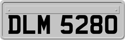 DLM5280