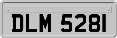 DLM5281