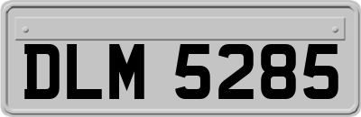 DLM5285