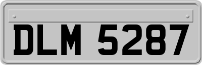 DLM5287