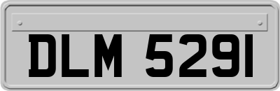 DLM5291
