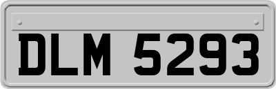 DLM5293