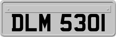 DLM5301
