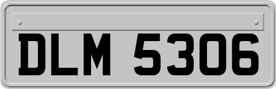 DLM5306
