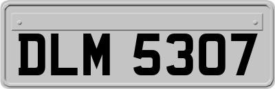 DLM5307
