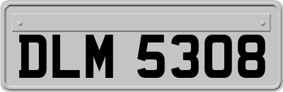 DLM5308
