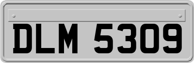 DLM5309