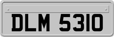 DLM5310