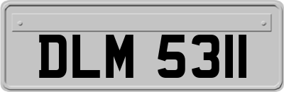 DLM5311