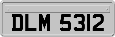 DLM5312