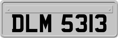 DLM5313