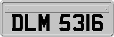 DLM5316