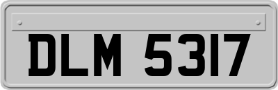 DLM5317