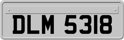 DLM5318
