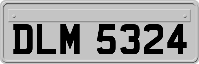 DLM5324