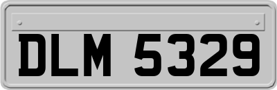 DLM5329