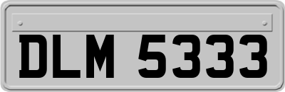 DLM5333