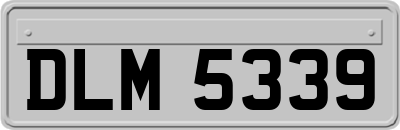DLM5339