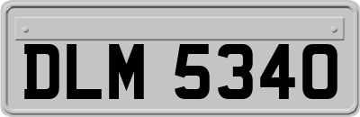 DLM5340