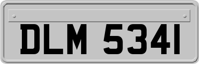DLM5341