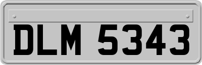DLM5343
