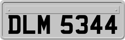DLM5344