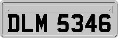 DLM5346