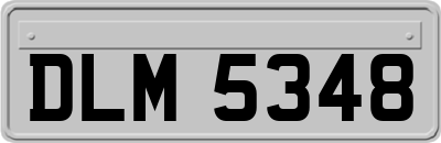 DLM5348