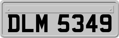 DLM5349