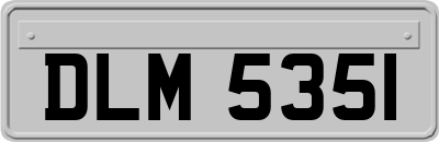 DLM5351