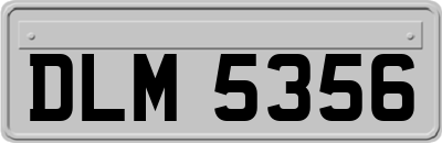 DLM5356