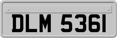 DLM5361