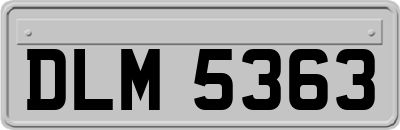 DLM5363