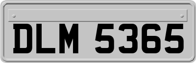 DLM5365