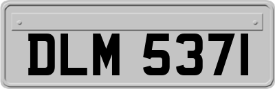 DLM5371