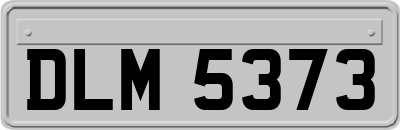 DLM5373