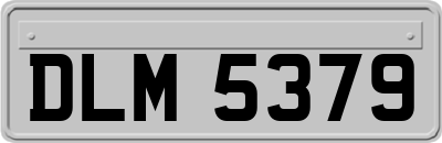 DLM5379