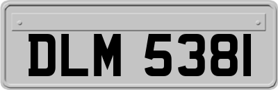 DLM5381