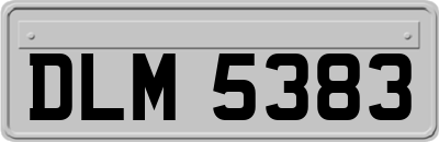 DLM5383