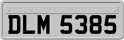 DLM5385