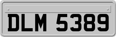 DLM5389