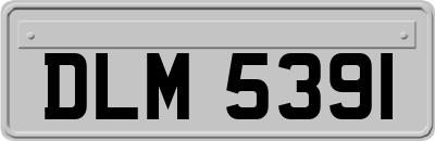 DLM5391