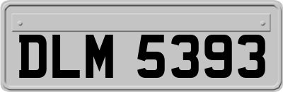 DLM5393
