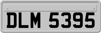 DLM5395