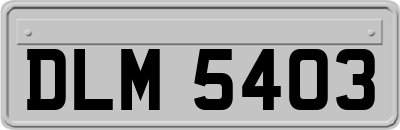 DLM5403