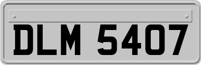 DLM5407